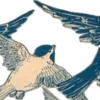 🕊️