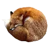 🦊