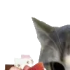 🍓