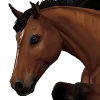 🐴