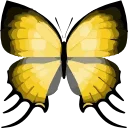🦋