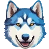 🐶