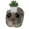 🪴
