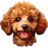 🐶