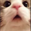 😯