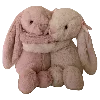 🐇