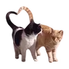 🐱