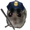 👮‍♀