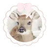 🦌