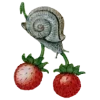 🐌