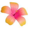 🌸