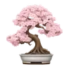🌸
