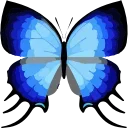 🦋