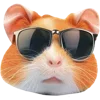 😎