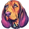 🐶