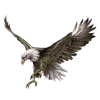 🦅