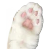 🐾