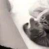 🔞