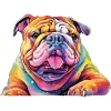 🐶