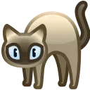 😺