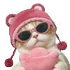 😸