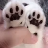 🐱