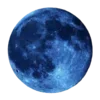 🌙