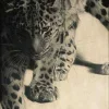 🐆
