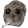 🚬