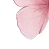 🦋