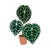 🌿