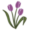 🌷