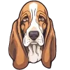 🐶