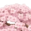 🌸