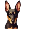 🐶