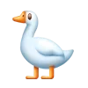 🐦