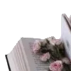 📖