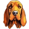 🐶