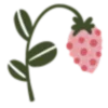 🍓