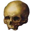 💀