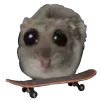 🛹