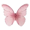 🦋