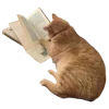 📚