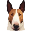 Собачник — Telegram emoji pack