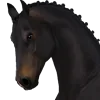 🐴