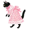 🐱