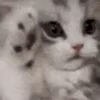 ☺️