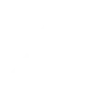 🚩