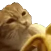🍌