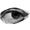 👁